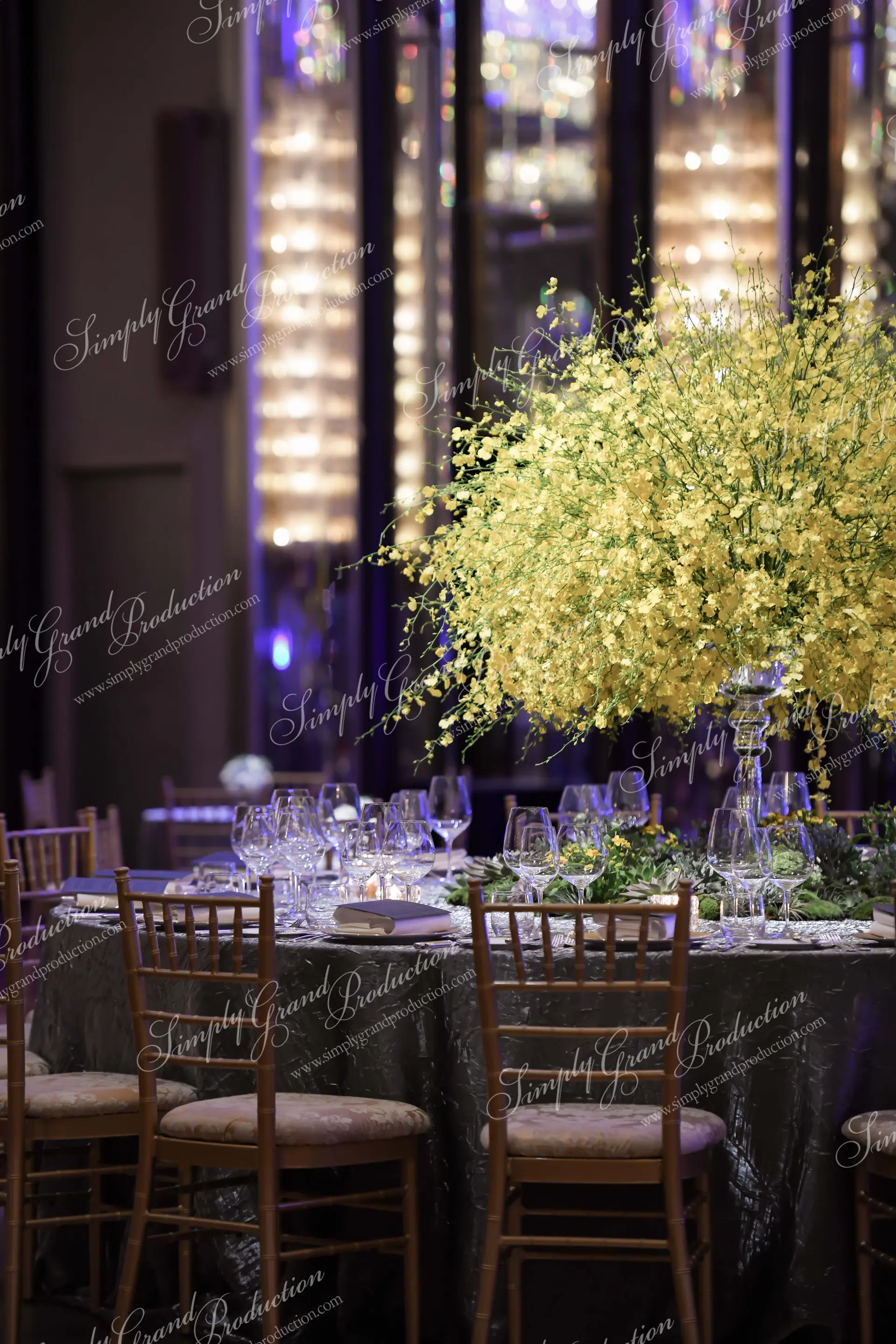 grand-hyatt-celebration-showcase